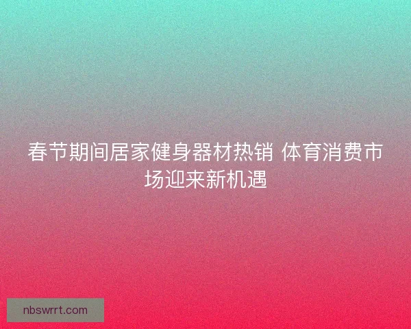 春节期间居家健身器材热销 体育消费市场迎来新机遇